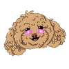 Winnie the Poodle (WINNIE) logo