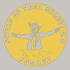 Wolf of Wall Street ($WOLF) logo