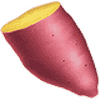 YAM (YAM) logo