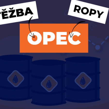 Jak společenství OPEC ovlivňuje cenu ropy