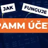 Jak funguje PaMM účet u forex brokera