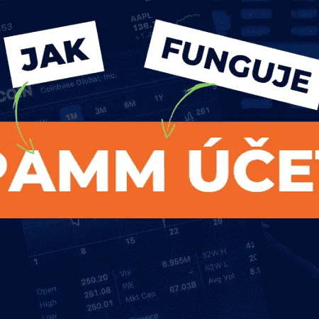 Jak funguje PaMM účet u forex brokera