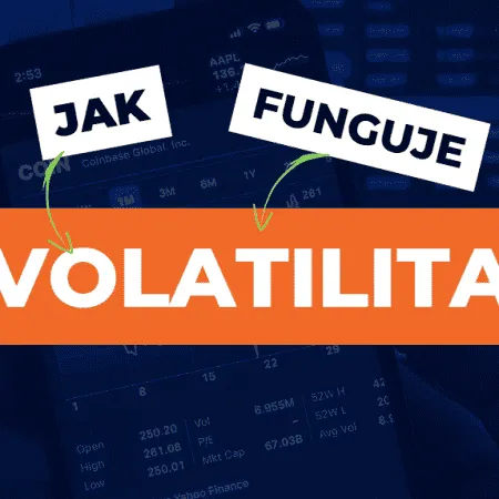 Co je to Volatilita?