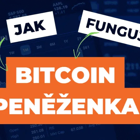 Bitcoin peněženka: Jak to funguje?