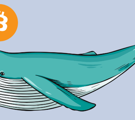 Kdo jsou kryptoměnové velryby a jak ovlivňují trh kryptoměn