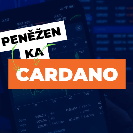 Jaká je nejlepší krypto peněženka pro Cardano