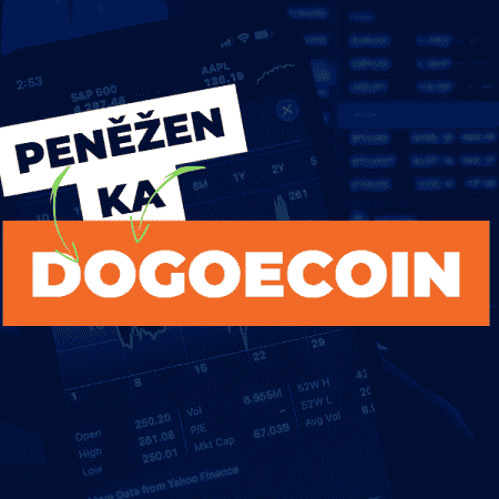 Jak vybrat nejlepší peněženku pro Dogecoin