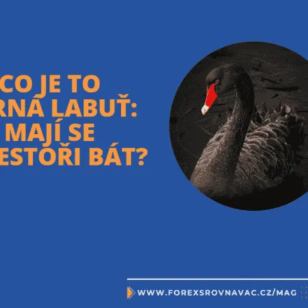Co je to Černá labuť na trzích: mají se investoři bát?