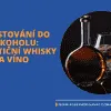 Investování do alkoholu: Investiční whisky a víno