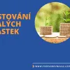 Nemám peníze a kapitál a přesto chci investovat na burze: Jak na to?