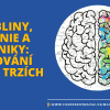 Tržní Bubliny, mánie a paniky