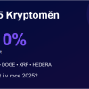 5 nejvíce rostoucích kryptoměn v roce 2024 – Vydrží to i pro rok 2025?