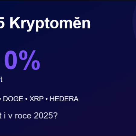 5 nejvíce rostoucích kryptoměn v roce 2024 – Vydrží to i pro rok 2025?