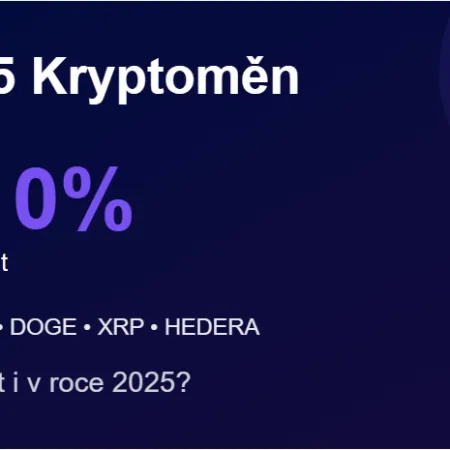 5 nejvíce rostoucích kryptoměn v roce 2024 – Vydrží to i pro rok 2025?