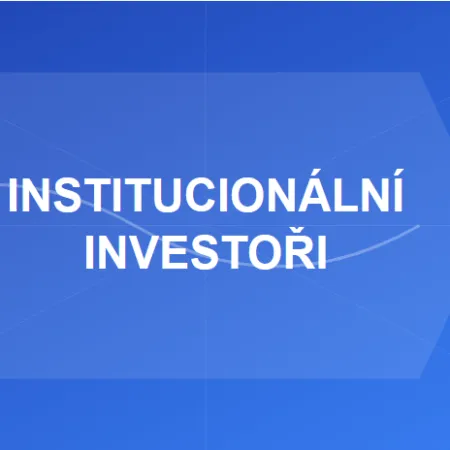 Kdo je a jak se definuje institucionální investor?