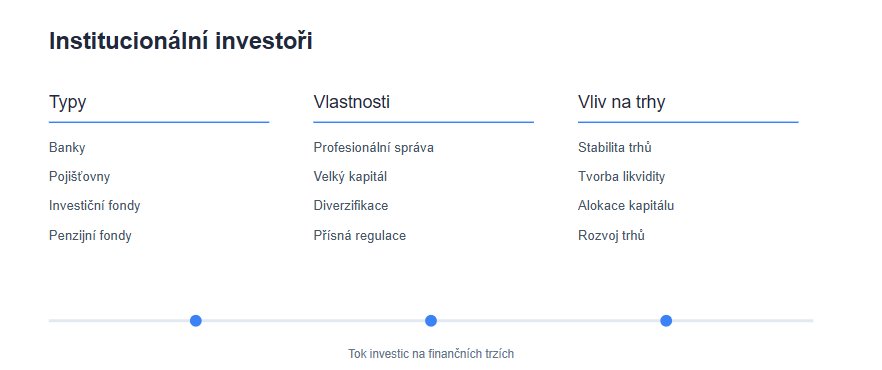 Minimalistická infografika vysvětlující institucionální investory