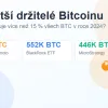 Největší držitelé Bitcoinu na světě – kolik jich vlastní?