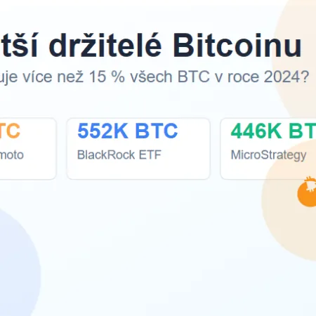 Největší držitelé Bitcoinu na světě – kolik jich vlastní?