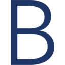 The company logo of Brunswick Corporation