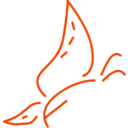 logo společnosti Nectar Lifesciences