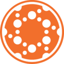 logo společnosti Solid Biosciences