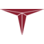 The company logo of Triumph Group