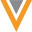The company logo of Veeva Systems